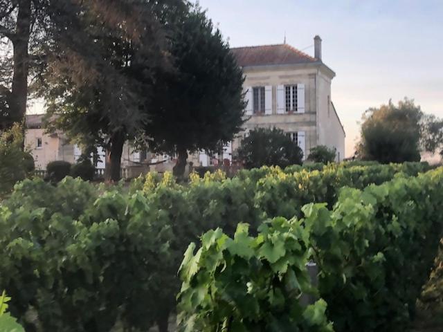 Chateau Couchebout Panzió Pugnac Kültér fotó